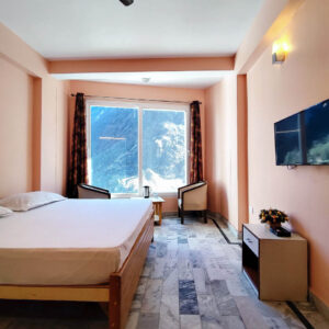 Hotel Bhagat Deluxe Room
